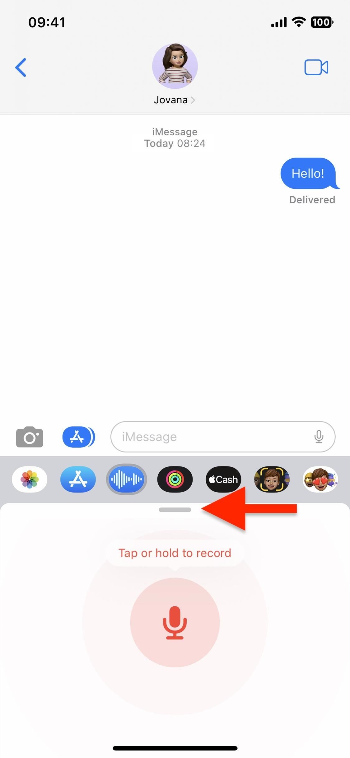 microphone button on iphone