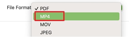 select mp4 as output format