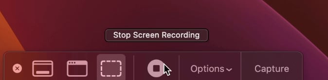 stop recording