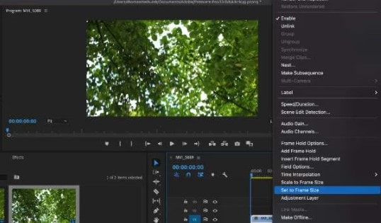 Best choice How to resize a video in premiere pro 2020 You must read