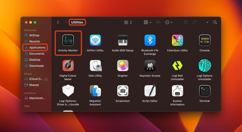 activity monitor on a mac