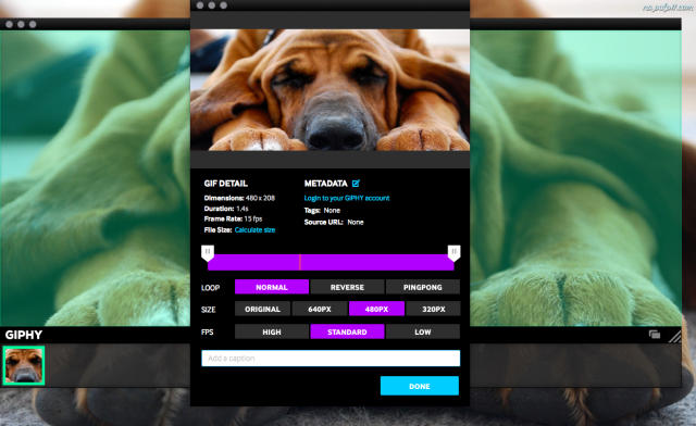 giphy capture screentogif mac alternative