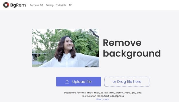 Online Video Background Remover