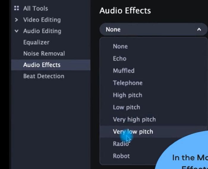 change voice in video