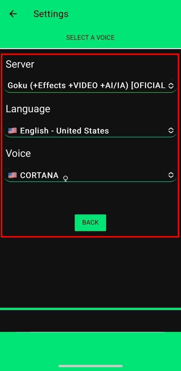 select language and other parameters