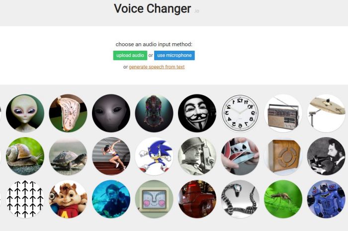 voice change