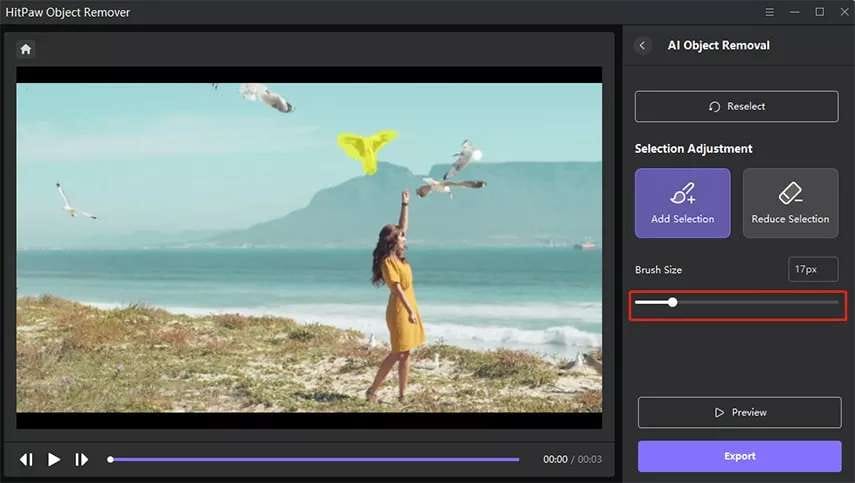 preview and export the video without unwanted elements