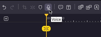 click on voice