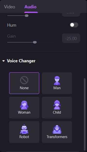 voice changer