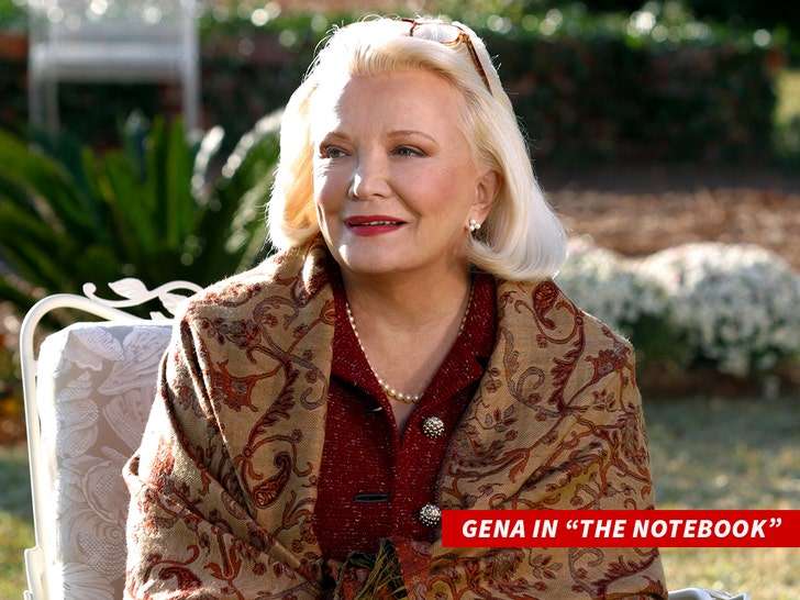 gena in the notebook