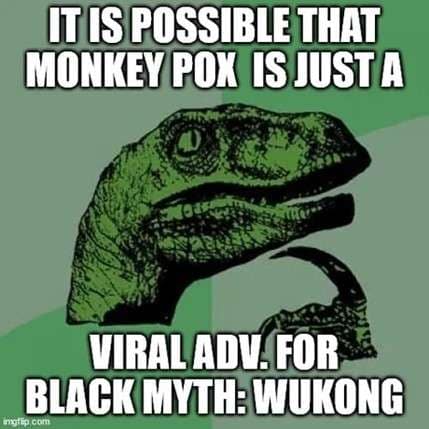 monkey pox and black myth wukong