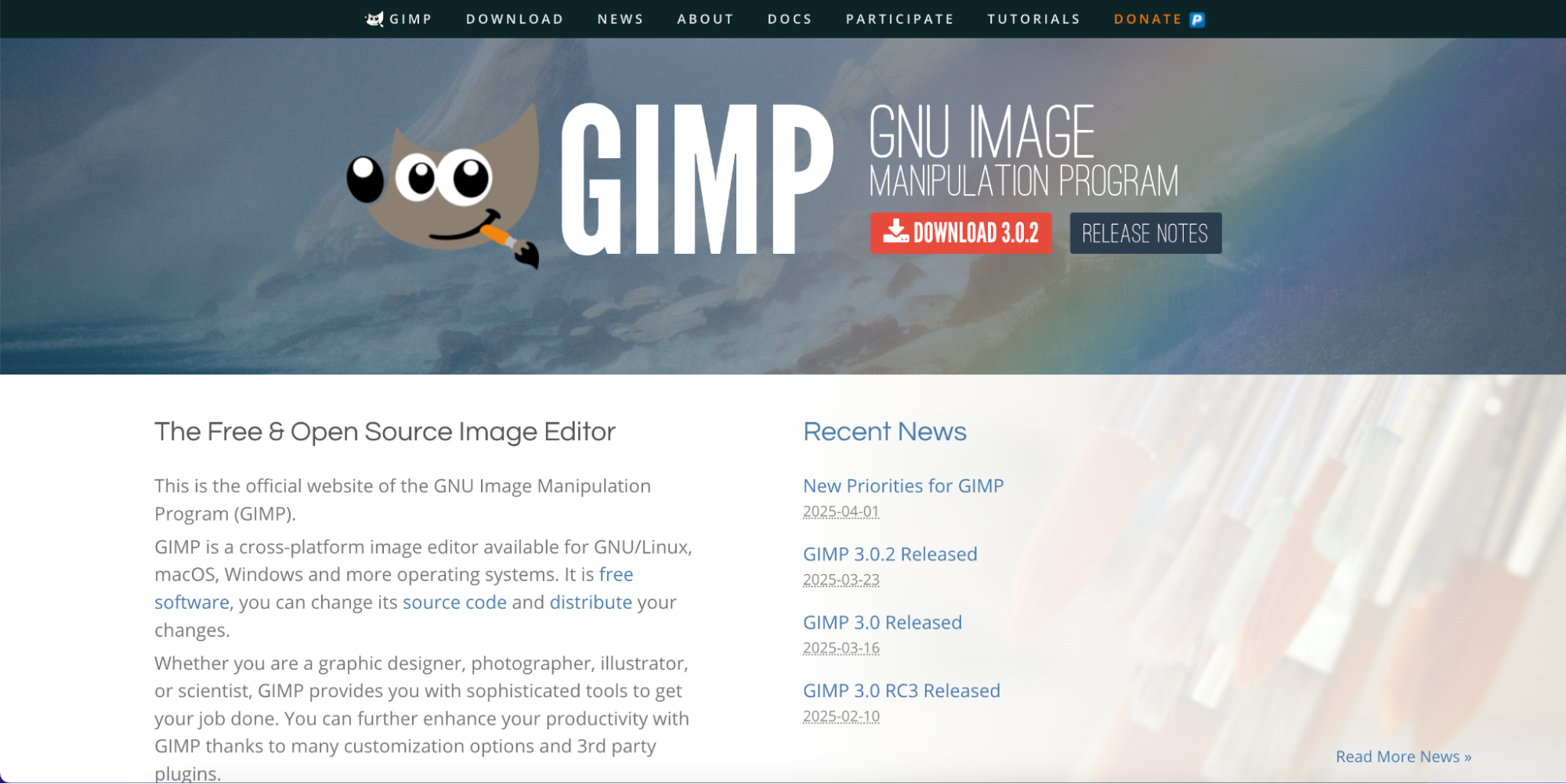 gimp