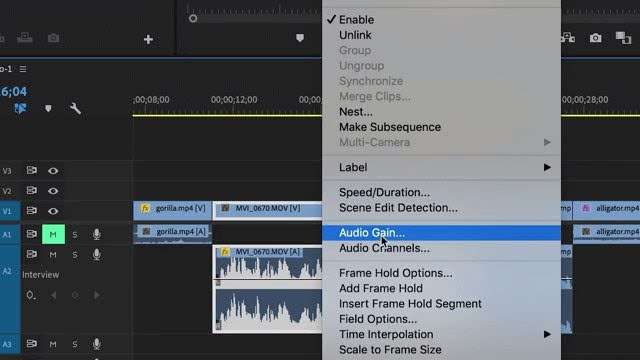 audio normalization using adobe premiere pro