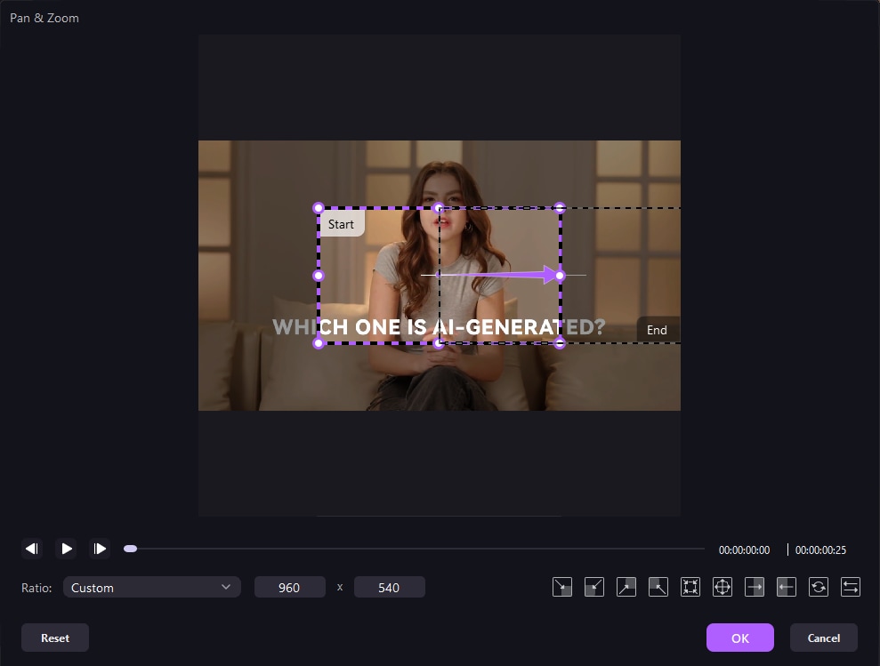 edit pan and zoom