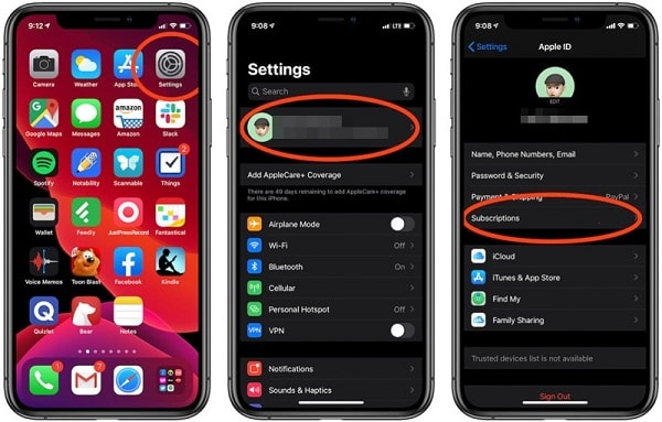 Iphone Settings Subscriptions 