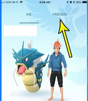 pokemon go friends section