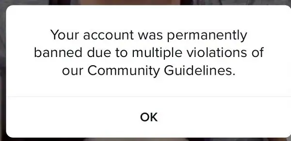 tiktok permanent ban