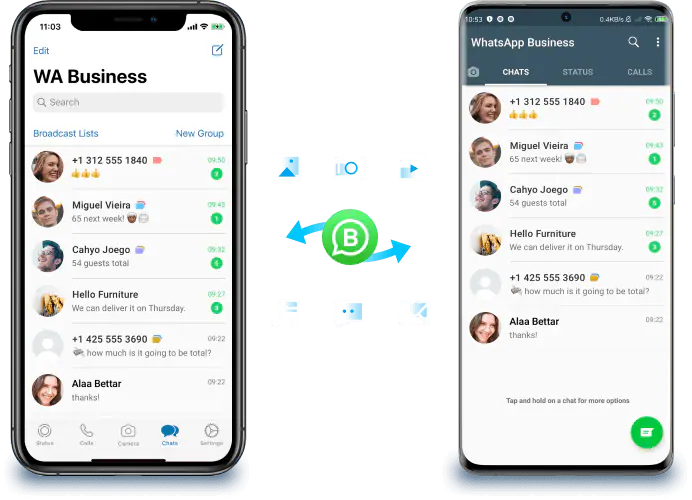 whatsapp business transfer