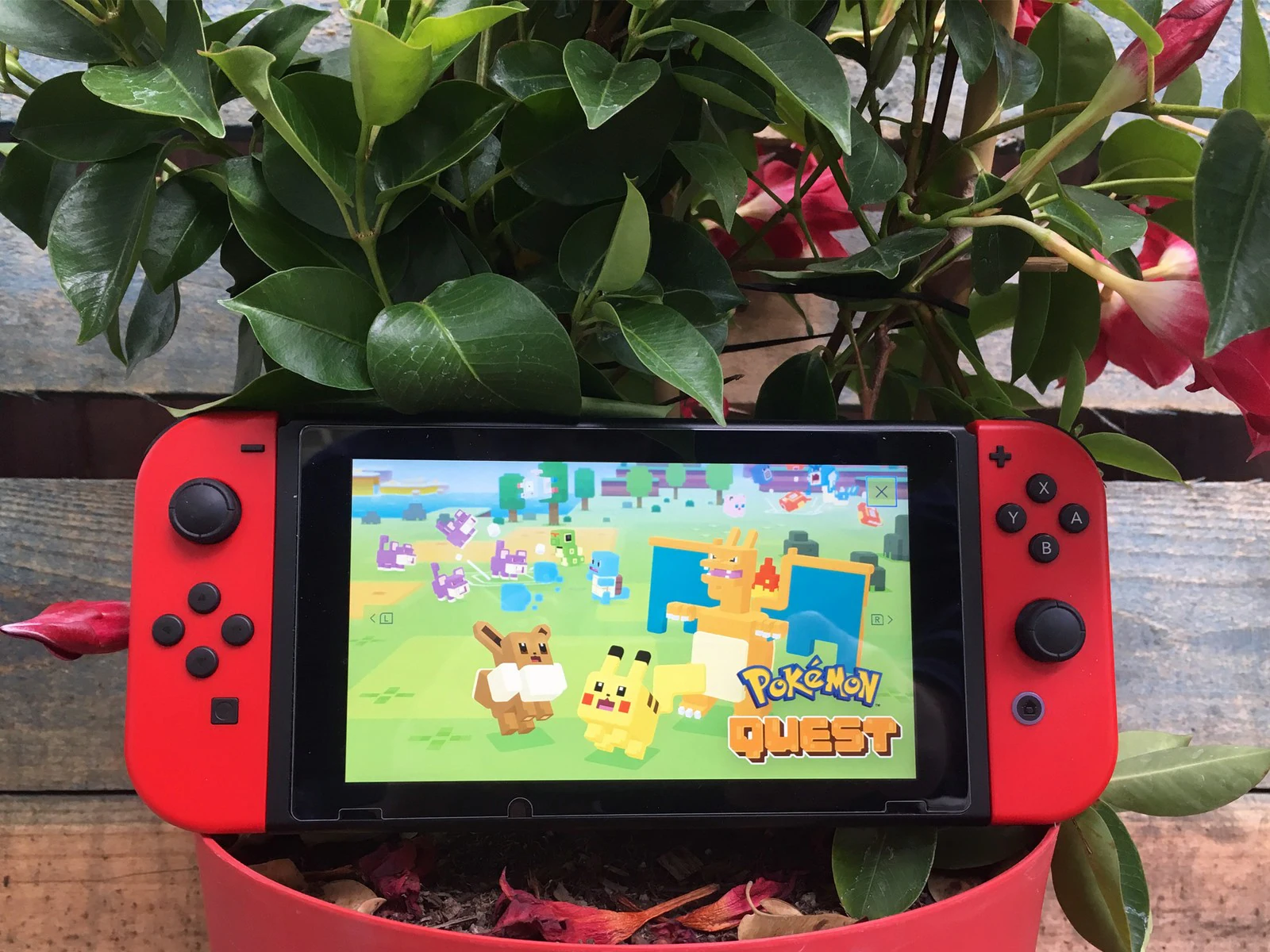 Pokémon Quest, Aplicações de download da Nintendo Switch