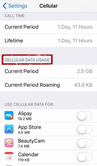 app store not working-cellular data usage