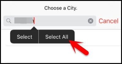 select input text