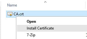 paste the ca certification on windows drive