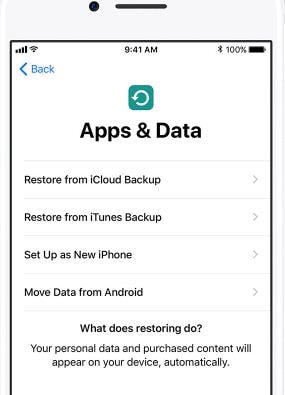 restaurar dados do iTunes para um iPhone XS (Max)