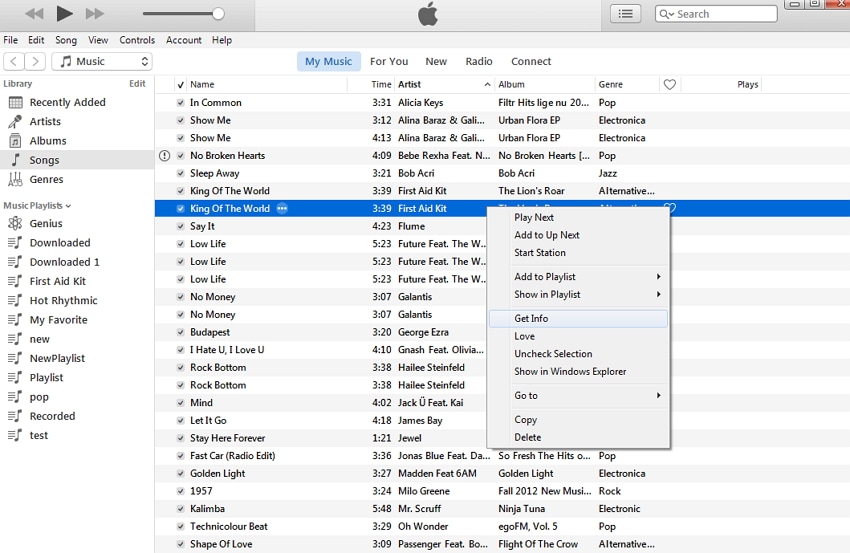 how to manually view itunes lyric
