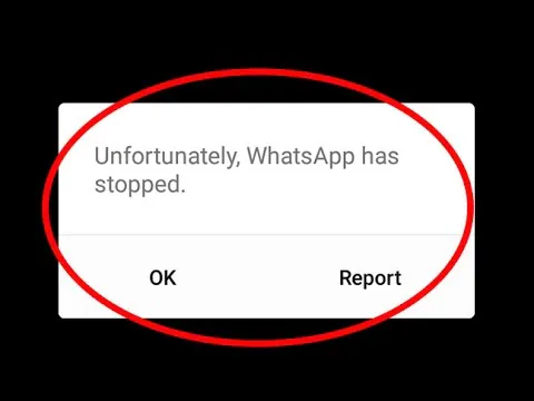 whatsapp crashing iphone 12