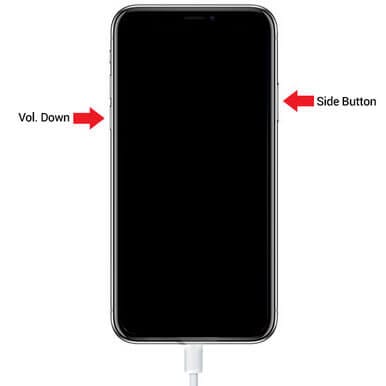 A tela do iphone xs (Max) não está respondendo - Restaure o iPhone XS (Max)/iPhone XR no modo DFU