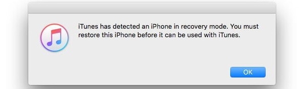  iPhone XS (Max) Bildschirm reagiert nicht - Bestätigen Sie Ihre Wahl