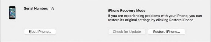 restore the iPhone