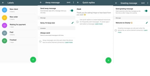 whatsapp business messaging