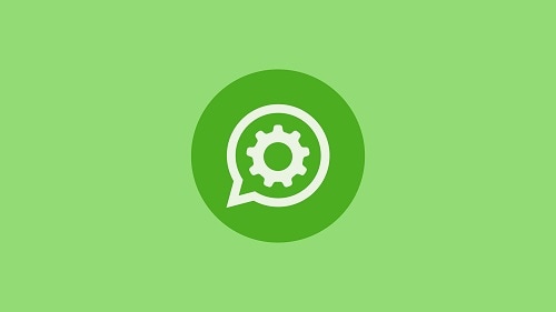 Solicita el programa "Whatsapp Business API"
