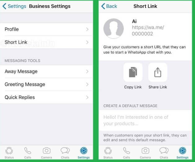 WhatsApp Business-Link