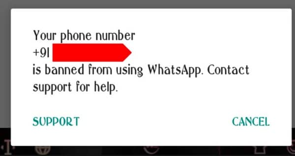 whatsapp business number