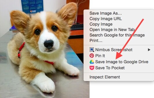 select “Save Image to Google Drive”