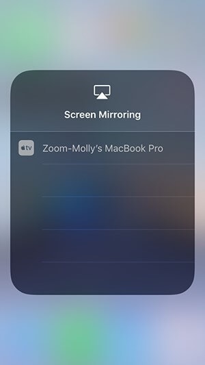 Wählen Sie die Option für den Zoom-Bildschirm