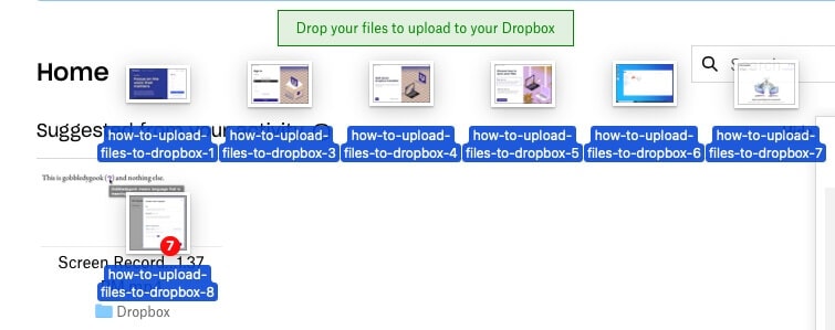 Ziehen und Ablegen von Dateien aus dem Dateibrowser in Dropbox im Webbrowser-Fenster