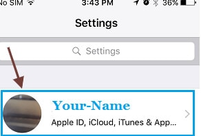 Abb. 18 Tippen Sie auf Apple ID