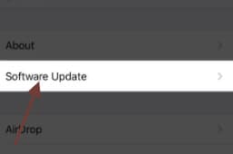 Abbildung 3 Auf Software Update klicken