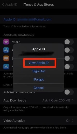 remove an apple id from an iphone 2