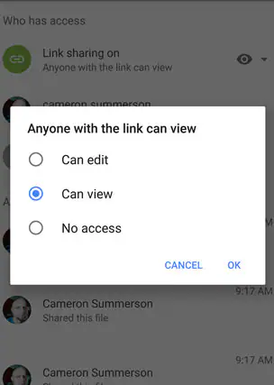 sending a google drive link