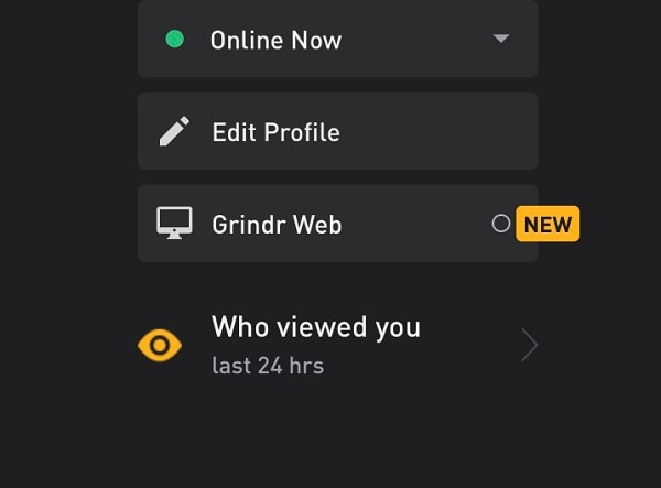 Grindr Web Feature on App