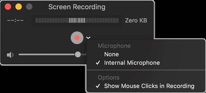 screen record with voice 5