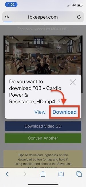 confirm download