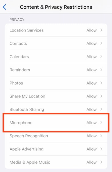 microphone permission in screen time
