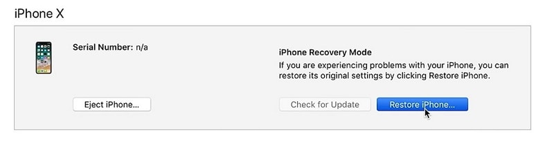 select restore ipad option