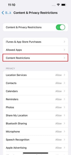 tap on content restrictions option