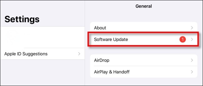 opens software update option